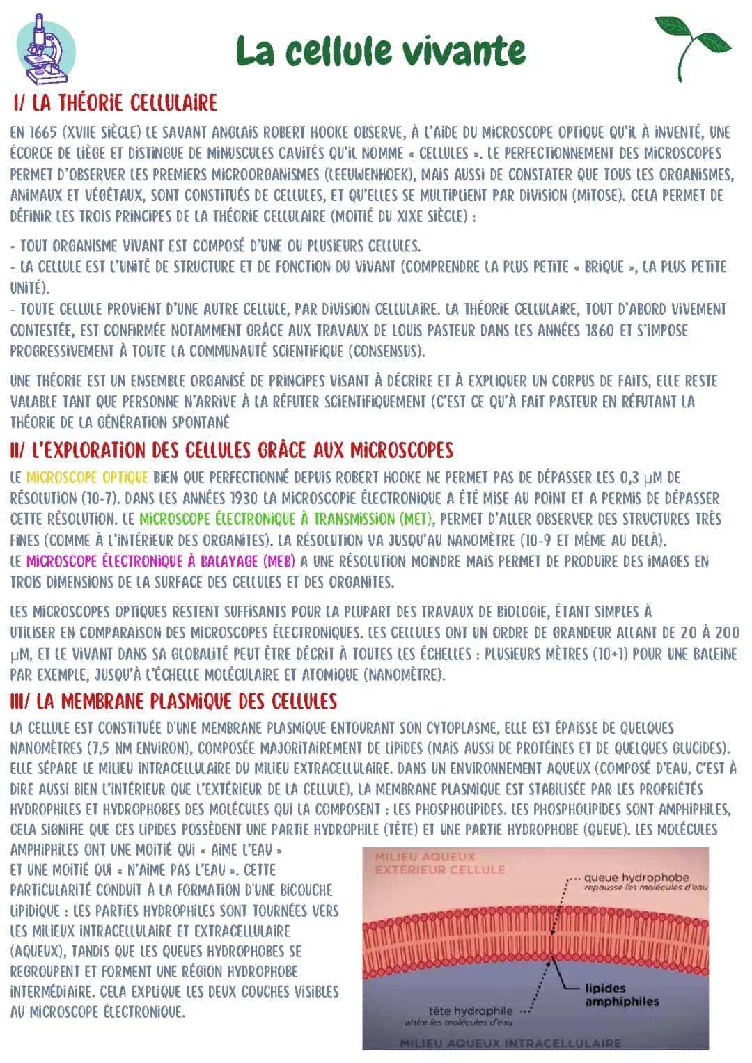La cellule vivante