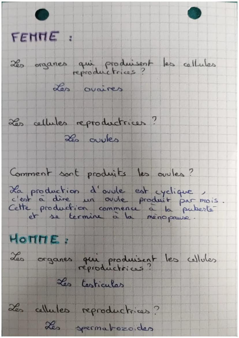 la
cavite de
l'uterus
vessie
uretre
ditoris
orifice
urinaire
vessie
canaux
deferents
pénis
uretre
testicules
reproduction humain
K
trompe
ov