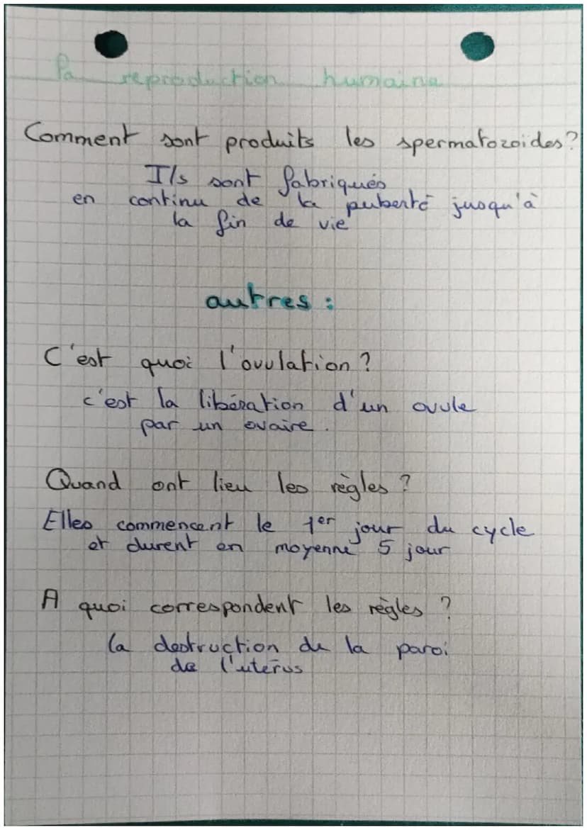 la
cavite de
l'uterus
vessie
uretre
ditoris
orifice
urinaire
vessie
canaux
deferents
pénis
uretre
testicules
reproduction humain
K
trompe
ov