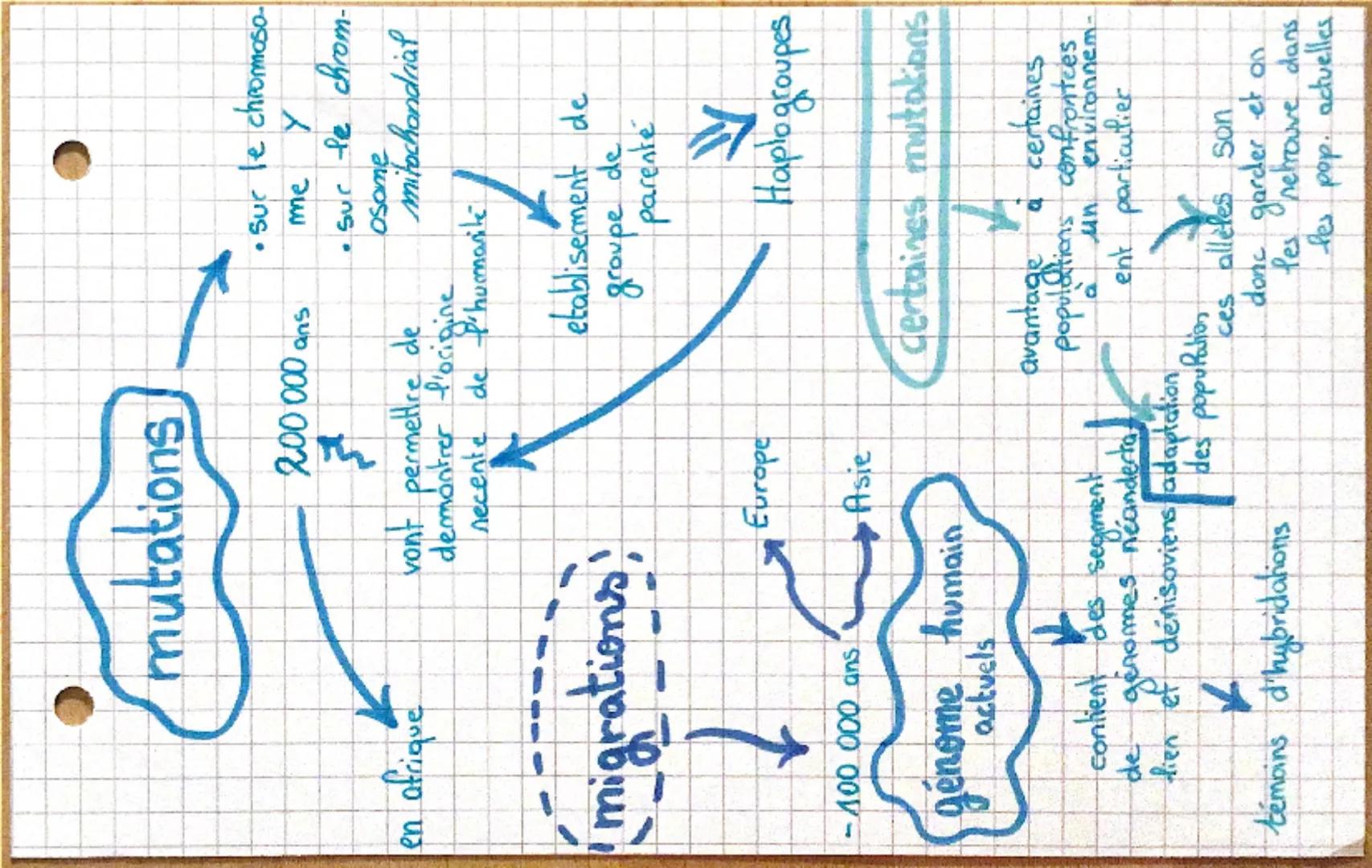 --- OCR Start ---
mutations
200 000 ans
en afrique
vont permettre de
l'origine
demontrer l'oc
migrations!
↓
-100 000 ans
génome humain
actue