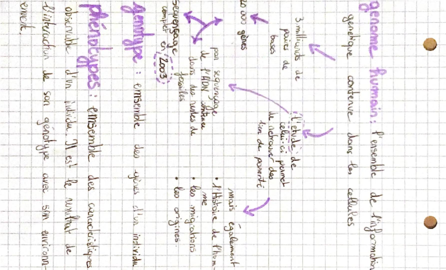 --- OCR Start ---
mutations
200 000 ans
en afrique
vont permettre de
l'origine
demontrer l'oc
migrations!
↓
-100 000 ans
génome humain
actue