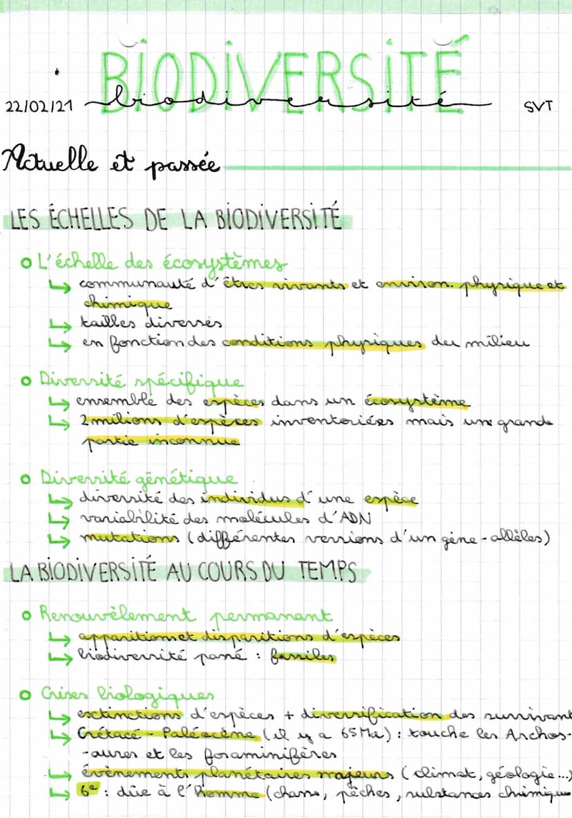 
<p>Le concept de <strong>biodiversité</strong> inclut la diversité du monde vivant à différents niveaux, des écosystèmes, des espèces et de