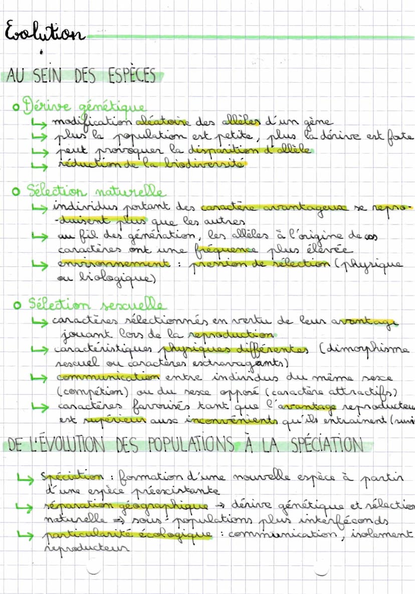 
<p>Le concept de <strong>biodiversité</strong> inclut la diversité du monde vivant à différents niveaux, des écosystèmes, des espèces et de