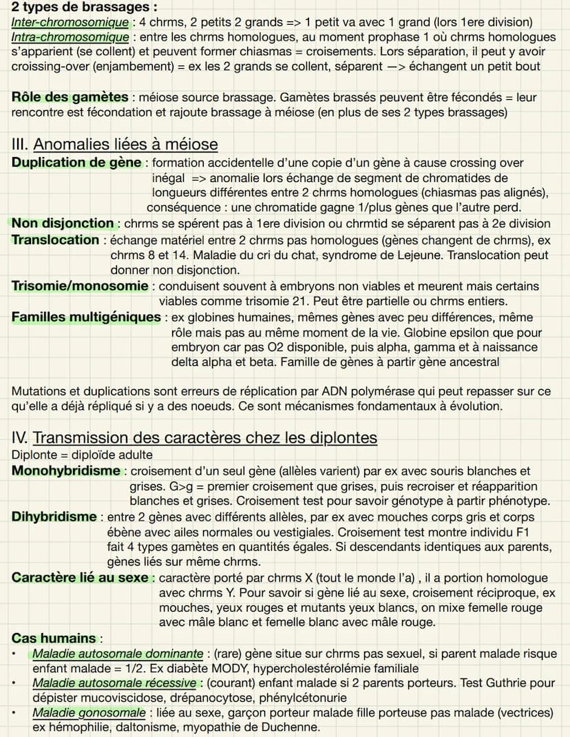 CHAPITRE 5 : L'ORIGINE DU GÉNOME INDIVIDUEL
1. Mitose et conservation des génomes
Mitose et clonage : ▬▬
Division cellulaire clonant le géno