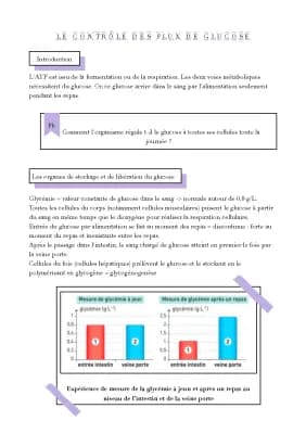 Know le contrôle des flux de glucose thumbnail