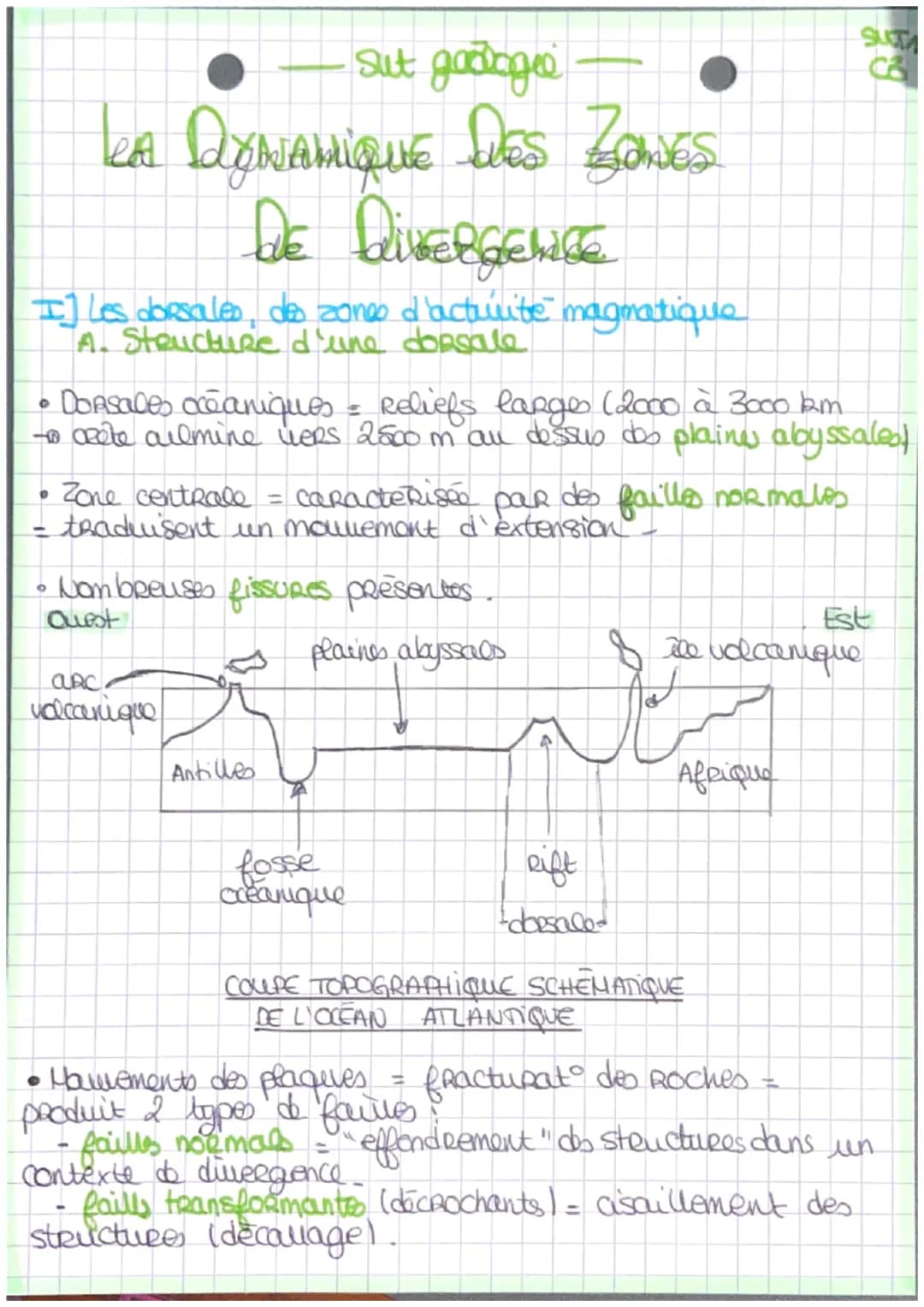 
<p>La dynamique des zones de divergence est un aspect important de la géologie. Les dorsales sont des zones d'activité magmatique qui se ca