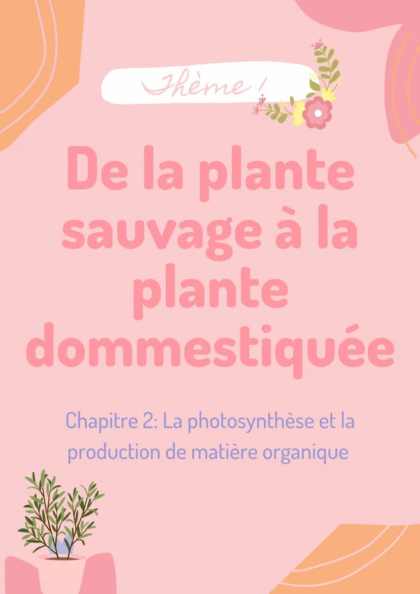 Thème!
De la plante
sauvage à la
plante
dommestiquée
Chapitre 1: L'organisation fonctionelle des
plantes à fleurs INTRODUCTION
L'appareil vé