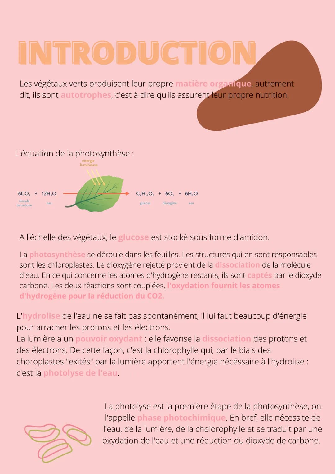 Thème!
De la plante
sauvage à la
plante
dommestiquée
Chapitre 1: L'organisation fonctionelle des
plantes à fleurs INTRODUCTION
L'appareil vé