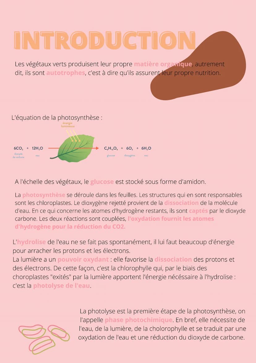 Thème!
De la plante
sauvage à la
plante
dommestiquée
Chapitre 1: L'organisation fonctionelle des
plantes à fleurs INTRODUCTION
L'appareil vé