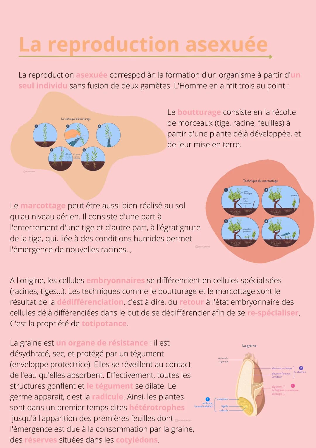 Thème!
De la plante
sauvage à la
plante
dommestiquée
Chapitre 1: L'organisation fonctionelle des
plantes à fleurs INTRODUCTION
L'appareil vé