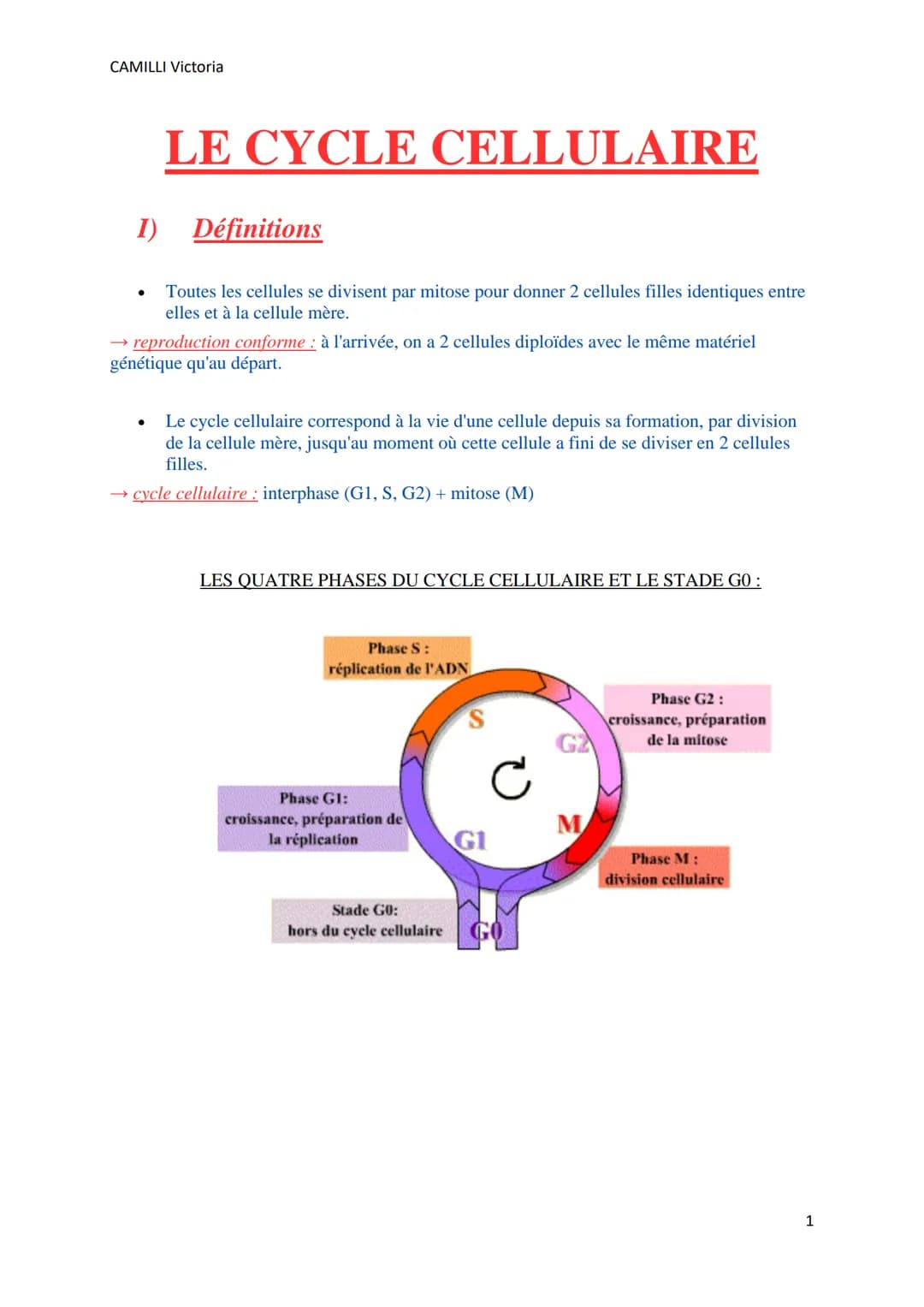 CAMILLI Victoria
LE CYCLE CELLULAIRE
I) Définitions
Toutes les cellules se divisent par mitose pour donner 2 cellules filles identiques entr