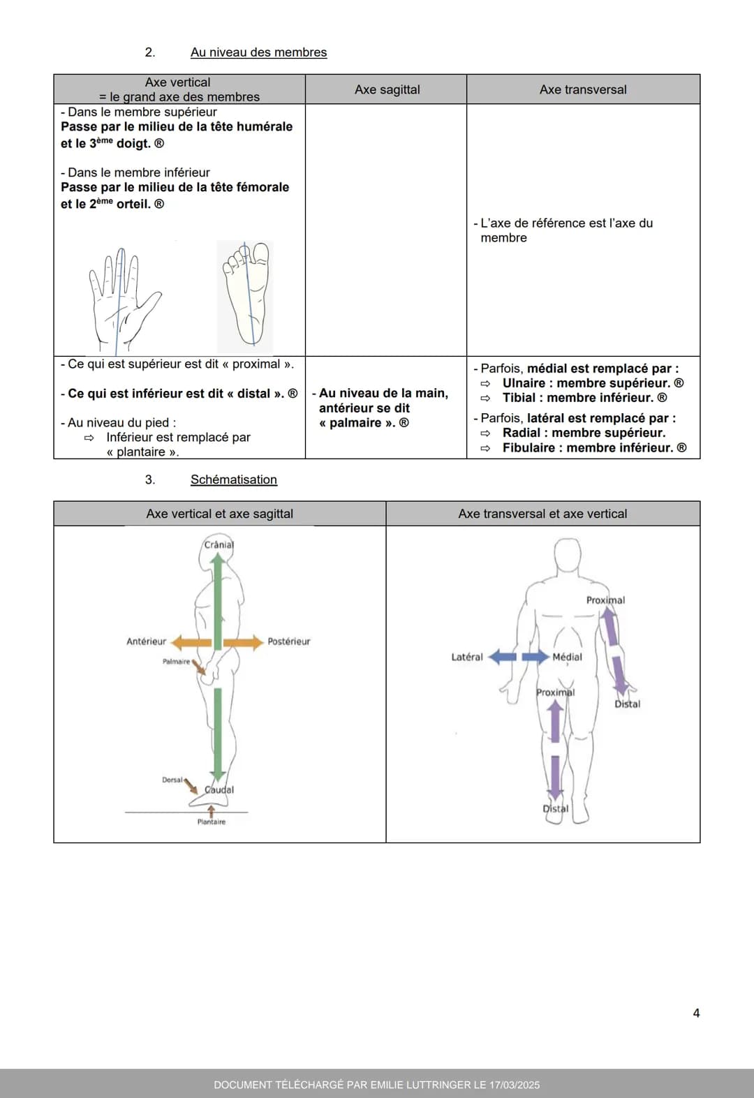 --- OCR Start ---
UE4
LE CORPS HUMAIN
LIVRET N°1
INTRODUCTION À L'ANATOMIE GÉNÉRALE
Semaine 10
Année 2024-2025
Livrets, spots exams, fiches,