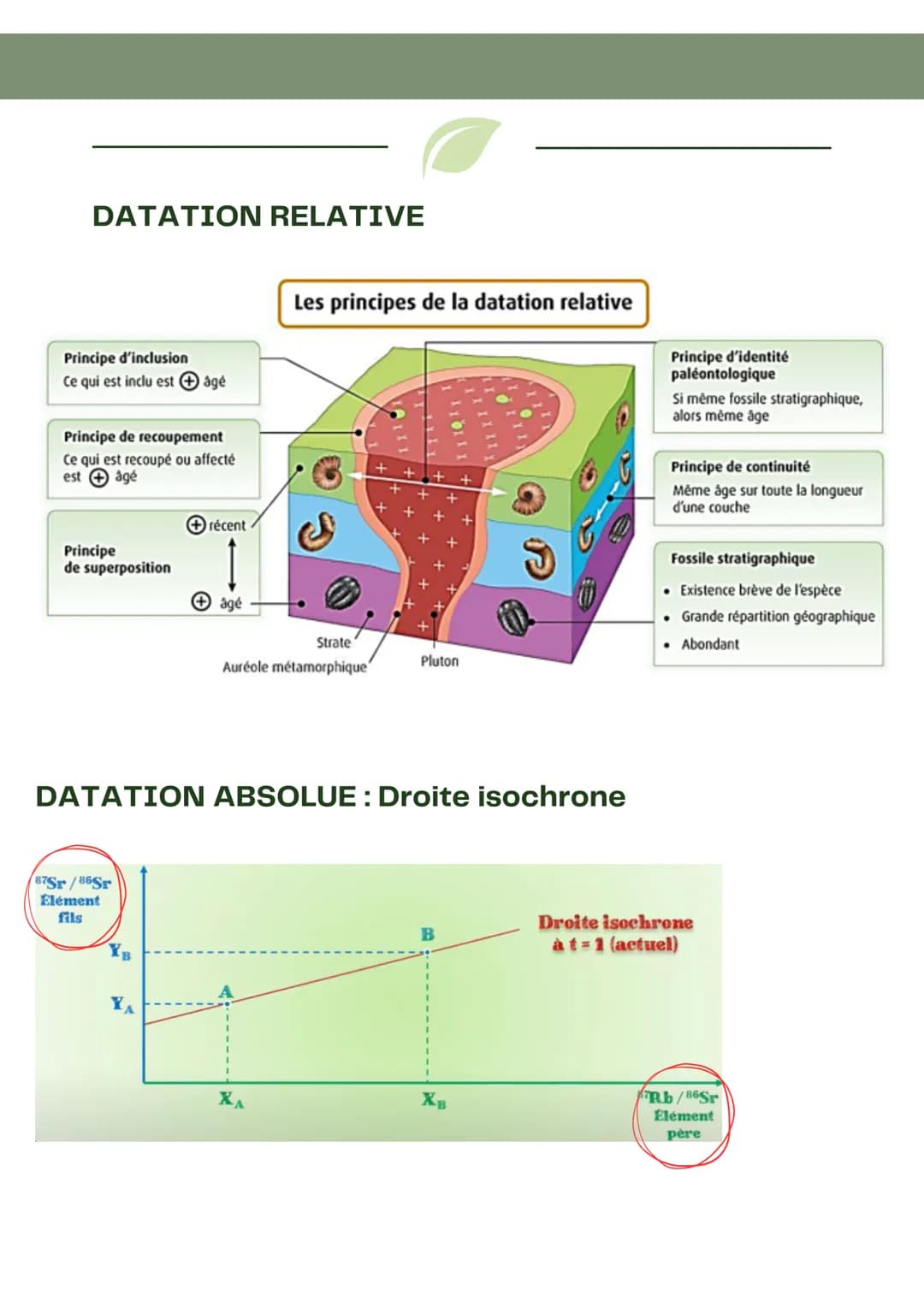 DATATION RELATIVE
Principe d'actualisme
• Les phénomènes géologiques du passé s'expliquent de la même
manière que les phénomènes actuellemen