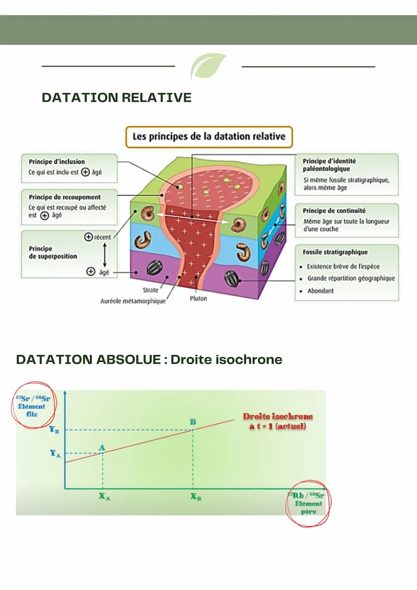 DATATION RELATIVE
Principe d'actualisme
• Les phénomènes géologiques du passé s'expliquent de la même
manière que les phénomènes actuellemen