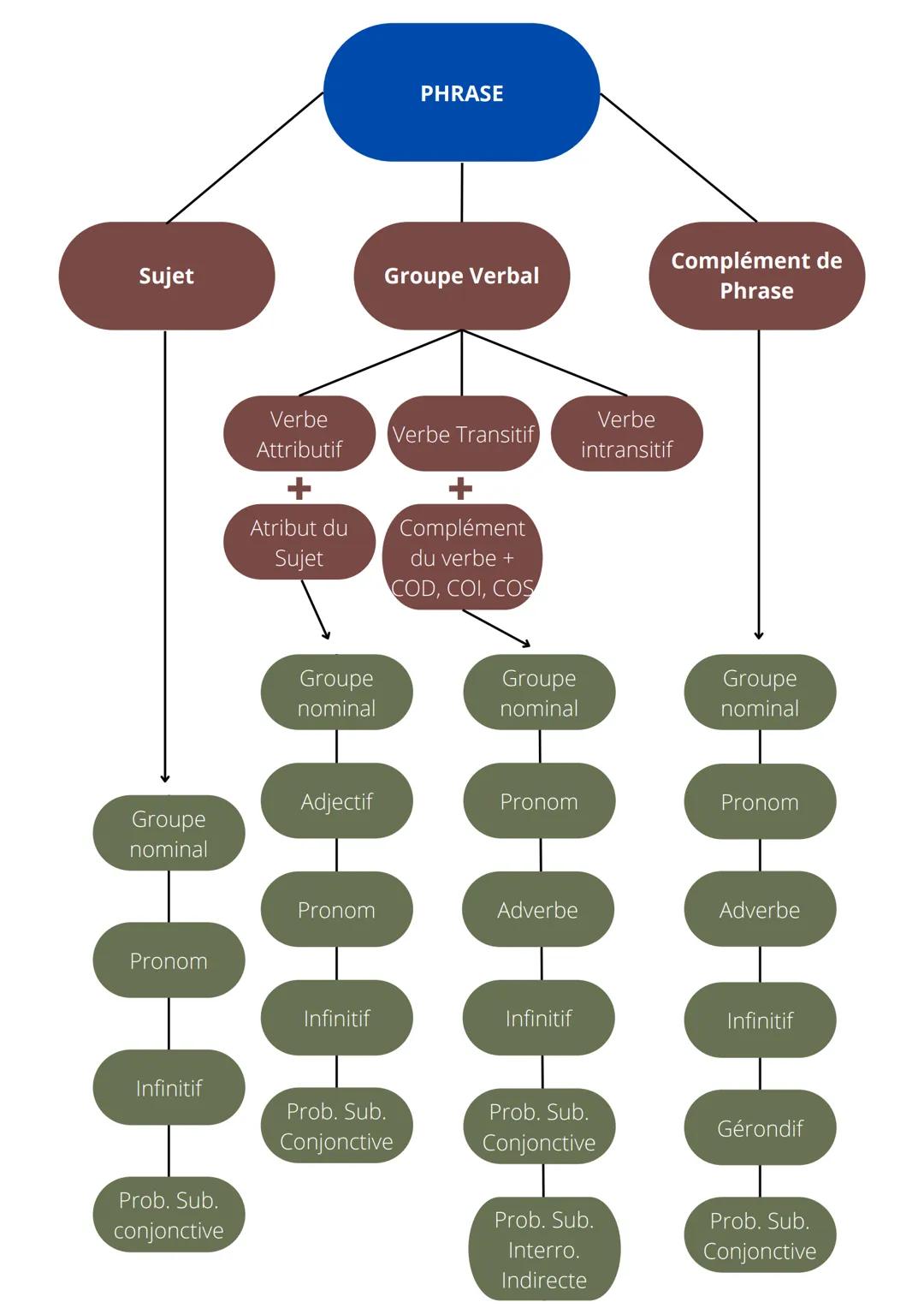 Les différentes
fonctions dans la
phrase

FRANÇAIS # PHRASE

Sujet

Groupe Verbal

Complément de
Phrase

Verbe
Attributif

+

Atribut du
Suj