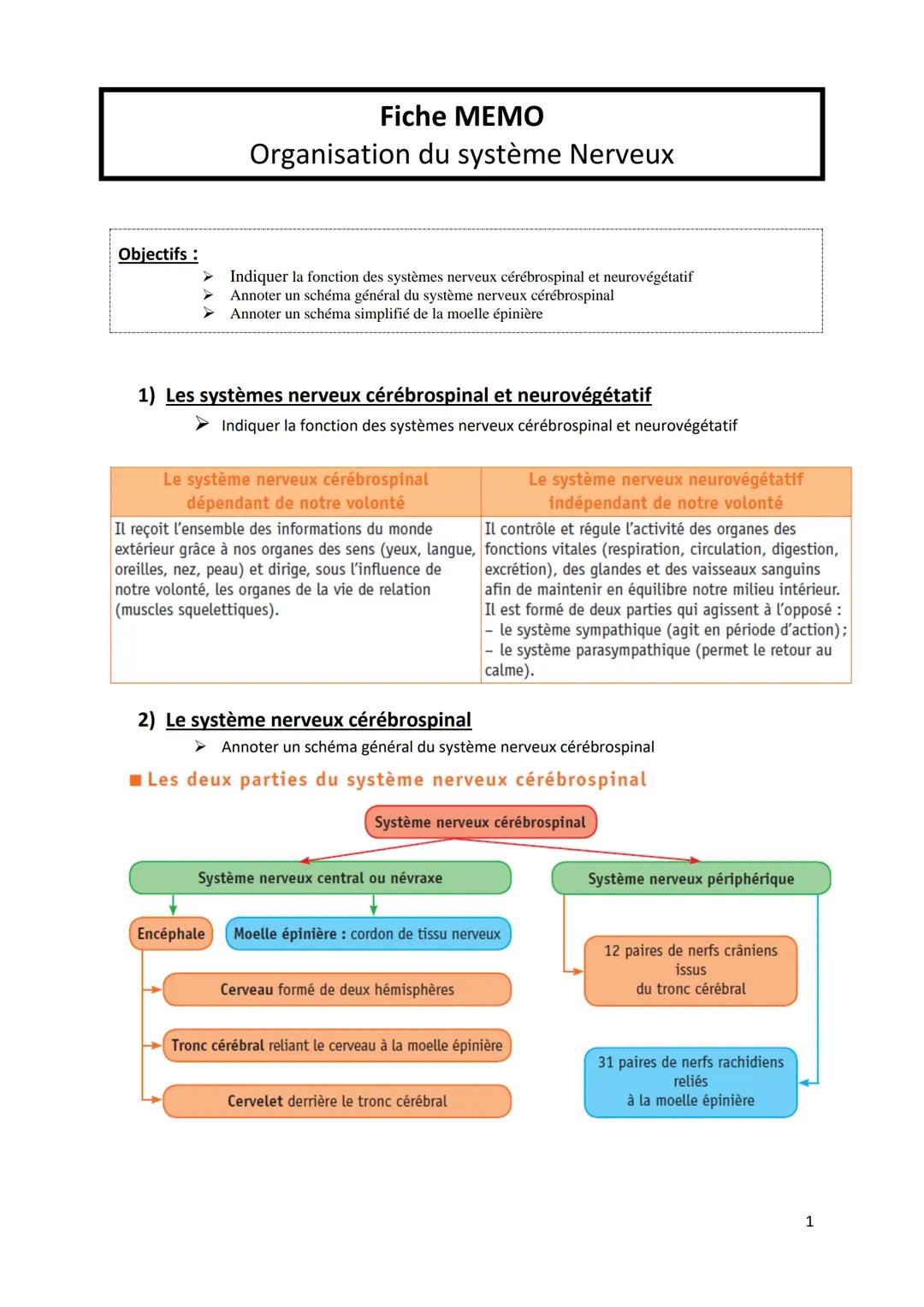 Objectifs :
➤
Fiche MEMO
Organisation du système Nerveux
Indiquer la fonction des systèmes nerveux cérébrospinal et neurovégétatif
Annoter u