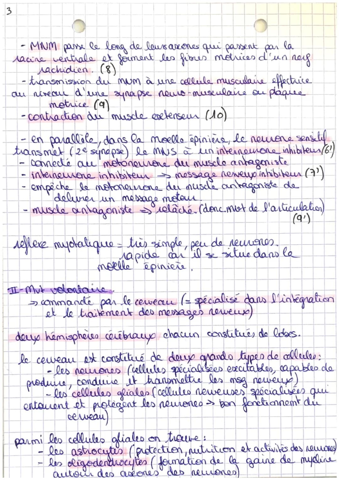 modif du
fonctionnem
de supst.
nerveux
SYSTEME
NERVEUX
échelle
organe
échoile
cellulaire
maladie,
MESSAGE
NERVEUX ELECTRIQUE
corpo cellulare