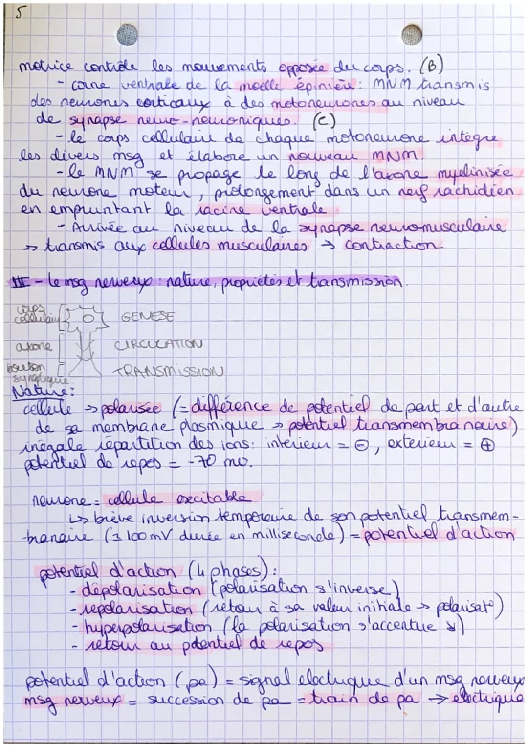 modif du
fonctionnem
de supst.
nerveux
SYSTEME
NERVEUX
échelle
organe
échoile
cellulaire
maladie,
MESSAGE
NERVEUX ELECTRIQUE
corpo cellulare
