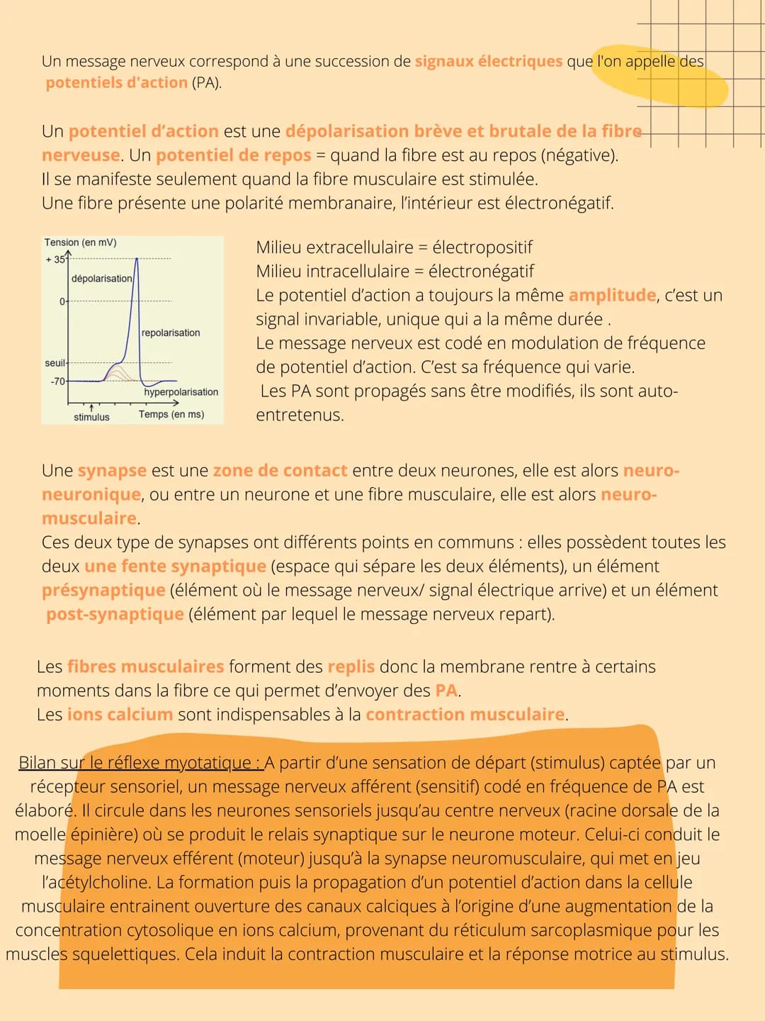 THEME 5: Corps
humain et santé
CHAPITRE 1: Un exemple de
réflexe, le réfléxe myotatique. INTRODUCTION
Interneurone
inhibiteur
Les organismes