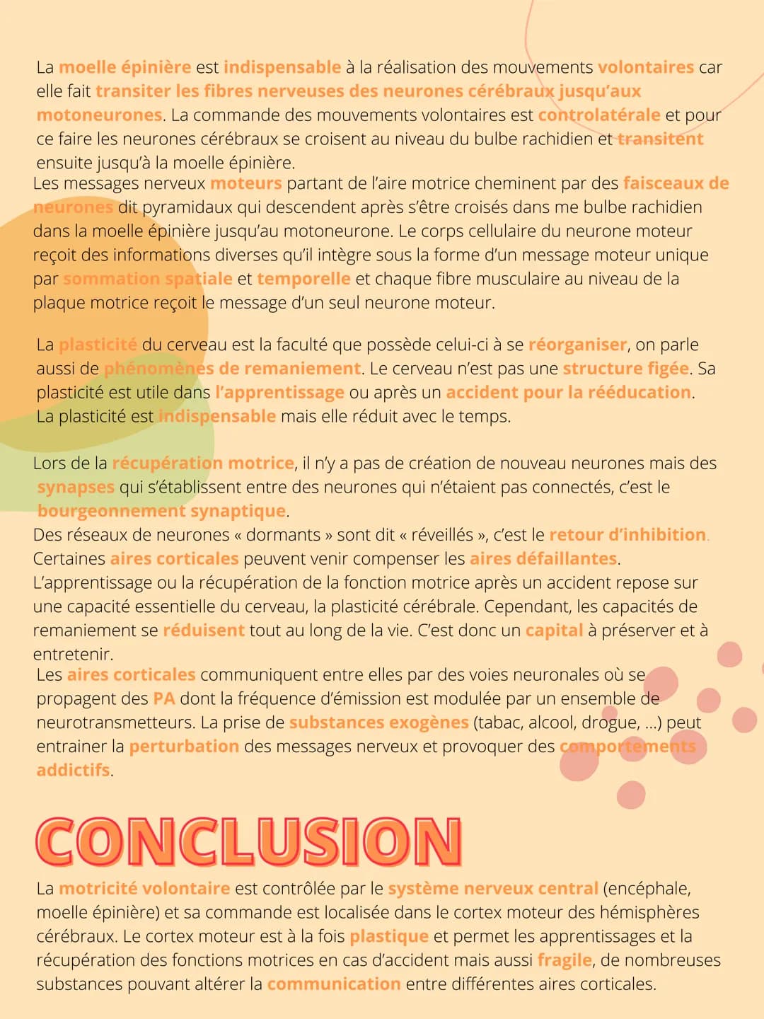 THEME 5: Corps
humain et santé
CHAPITRE 1: Un exemple de
réflexe, le réfléxe myotatique. INTRODUCTION
Interneurone
inhibiteur
Les organismes