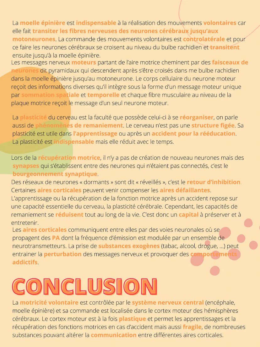 THEME 5: Corps
humain et santé
CHAPITRE 1: Un exemple de
réflexe, le réfléxe myotatique. INTRODUCTION
Interneurone
inhibiteur
Les organismes