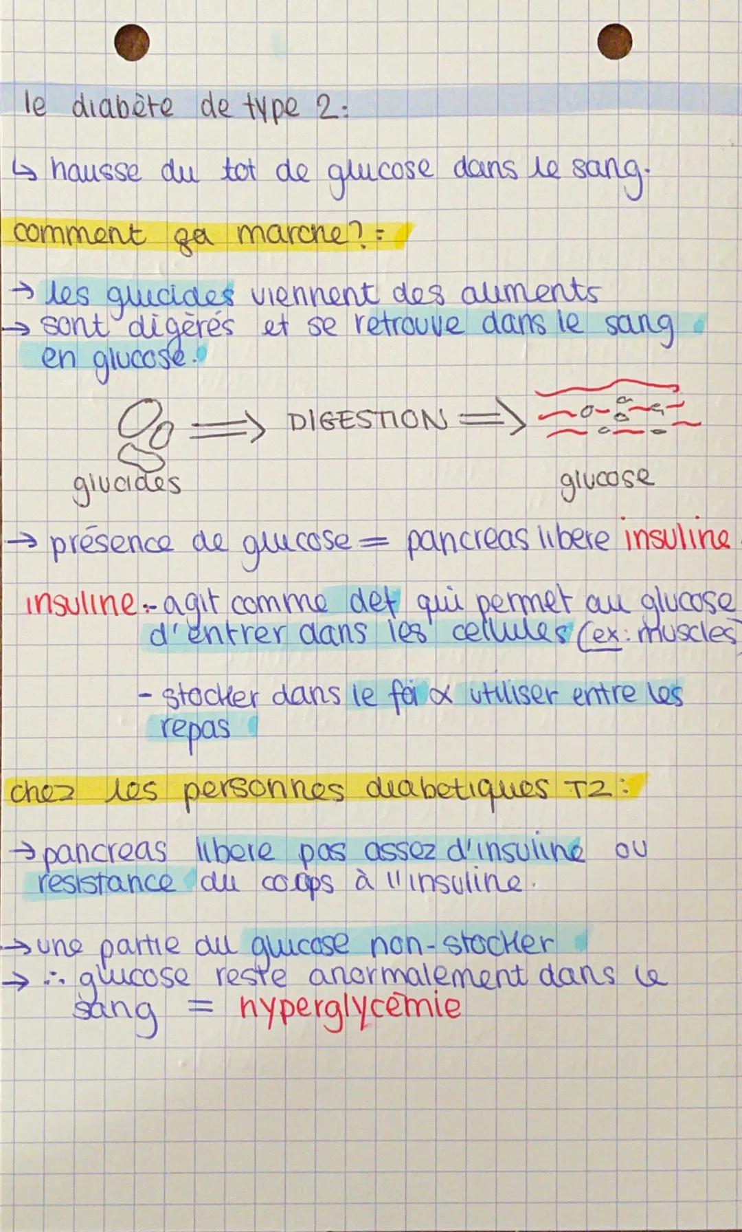 
<p>Le diabète de type 2 est caractérisé par une augmentation du taux de glucose dans le sang. Ce phénomène est lié à la digestion des gluci