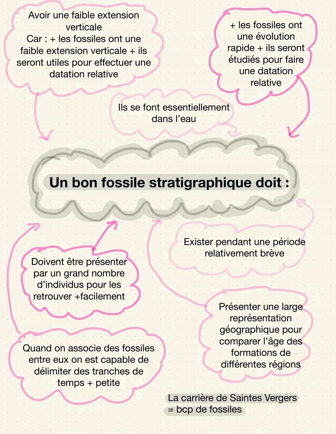 SVT: LA GÉOLOGIE
La chronologie
relative
La chronologie relative fait appel à des principes basés sur les relations
géométriques entre les d