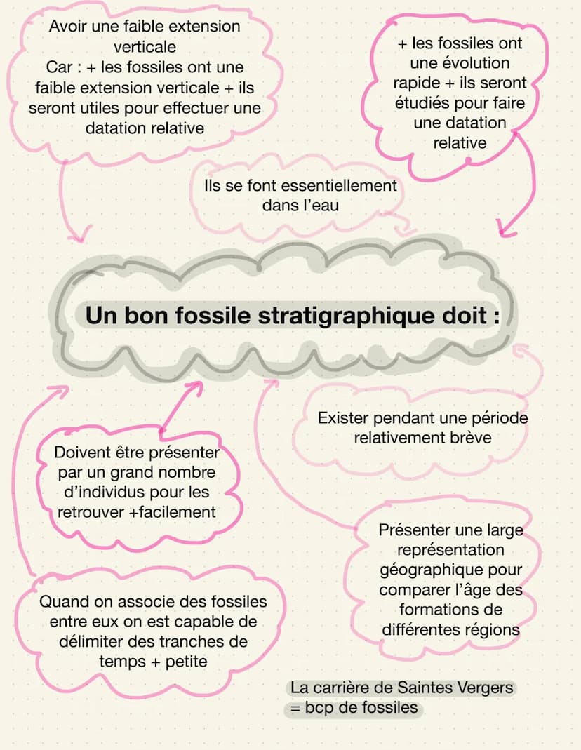 SVT: LA GÉOLOGIE
La chronologie
relative
La chronologie relative fait appel à des principes basés sur les relations
géométriques entre les d
