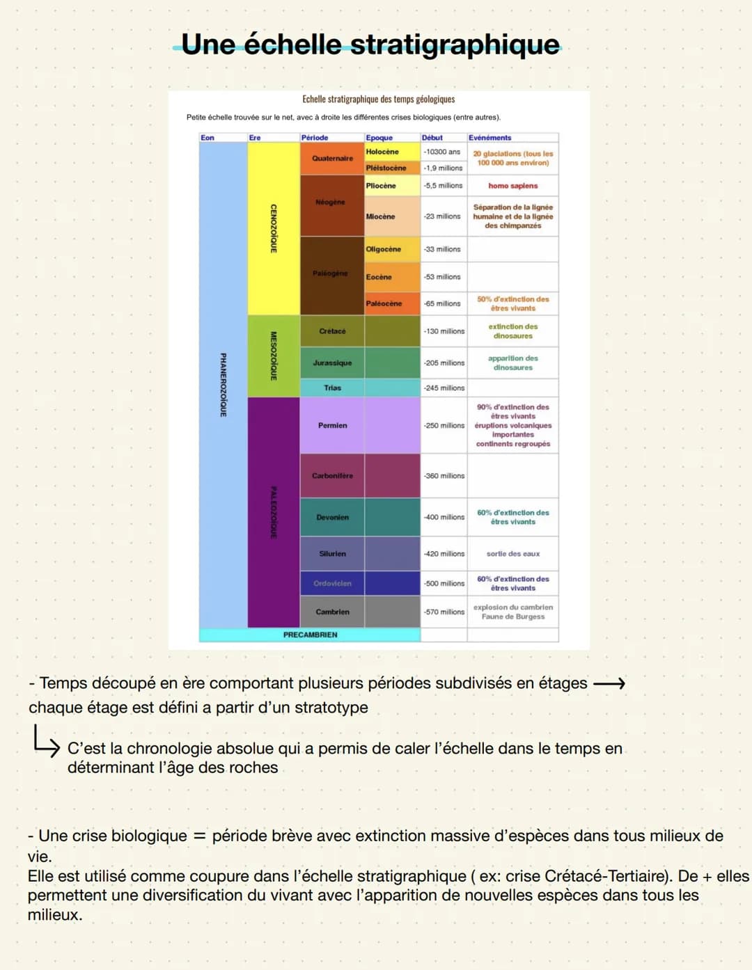 SVT: LA GÉOLOGIE
La chronologie
relative
La chronologie relative fait appel à des principes basés sur les relations
géométriques entre les d