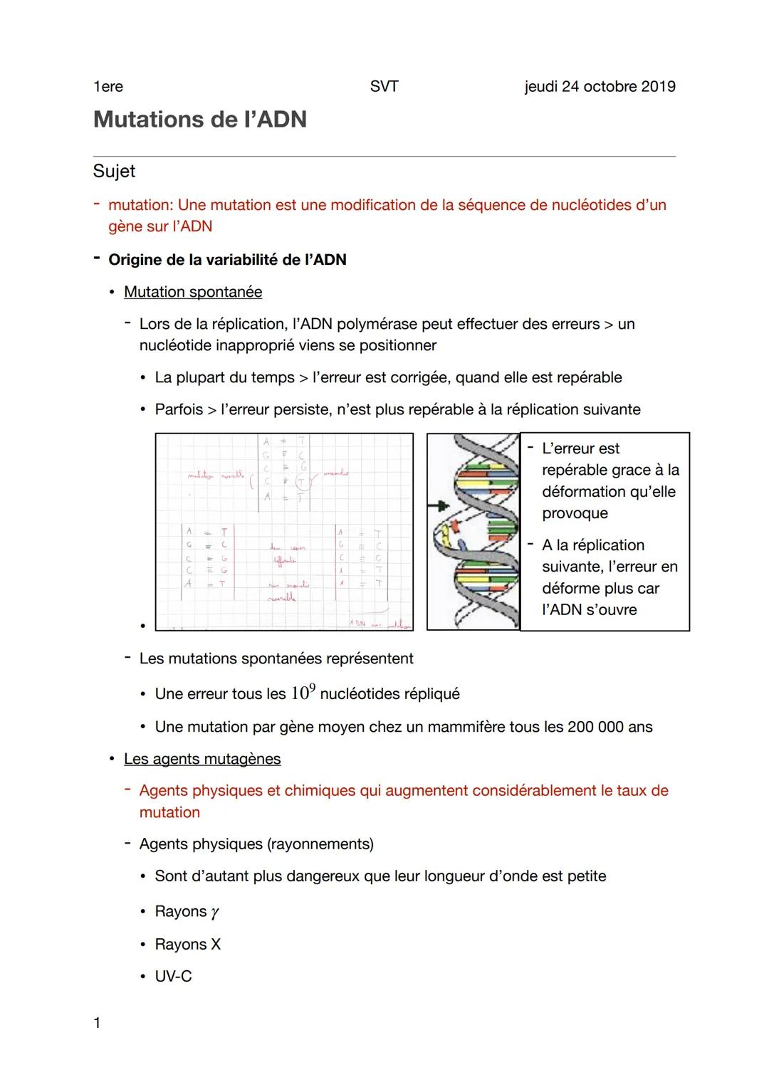 1ere
Mutations de l'ADN
1
Sujet
mutation: Une mutation est une modification de la séquence de nucléotides d'un
gène sur l'ADN
- Origine de l