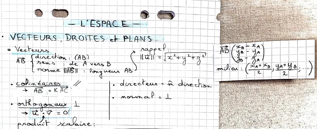Fiches de Révision Vecteurs et Plans - Exercices corrigés et Carte Mentale