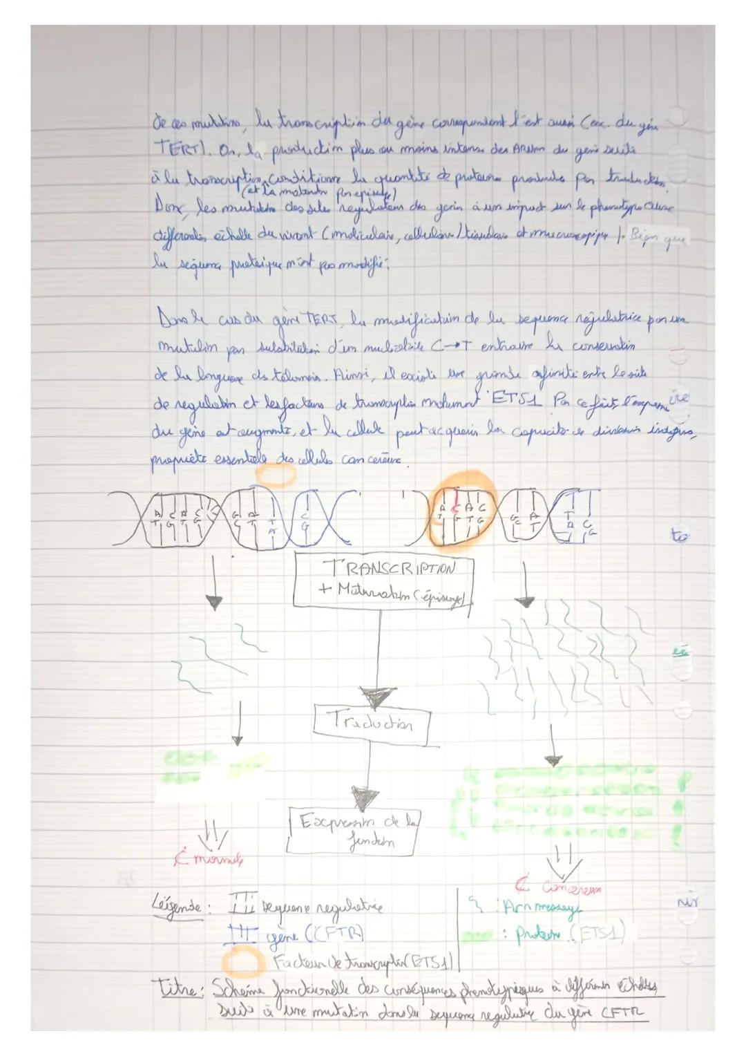 B
Theme 1B:
L'origine du génotype des individus
Chapit 1: Stabiliti genetique et evolution clonale
Po: Comment les divisins cellulavins part