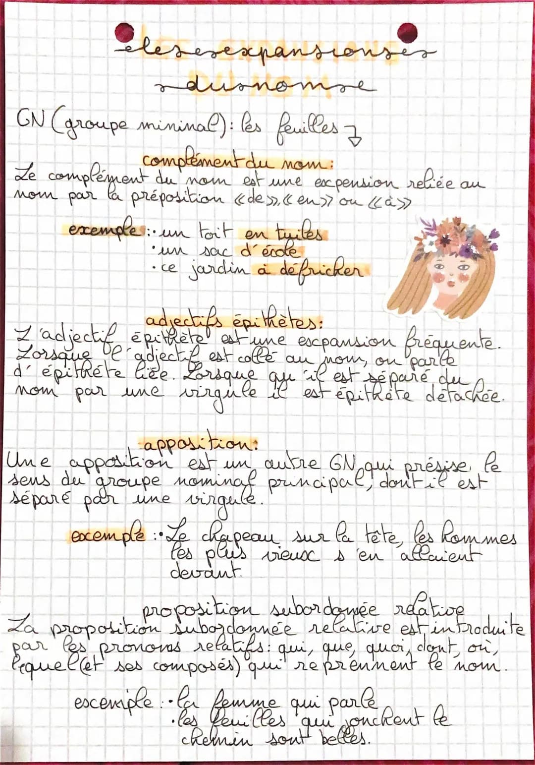 Les expansions du nom - Exemple, 5ème, Exercices Corrigés, PDF 📄