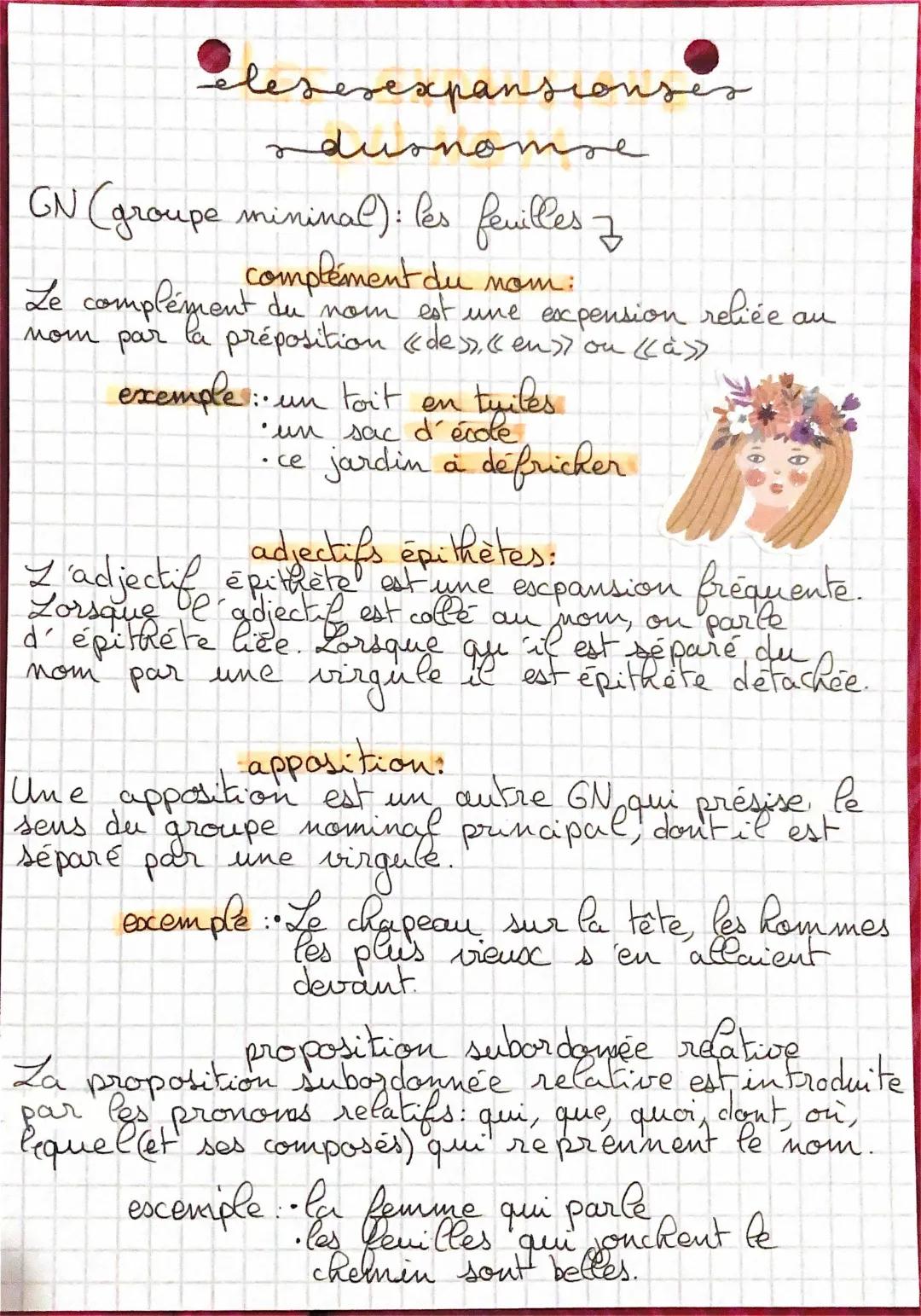 Les expansions du nom - Exemple, 5ème, Exercices Corrigés, PDF 📄