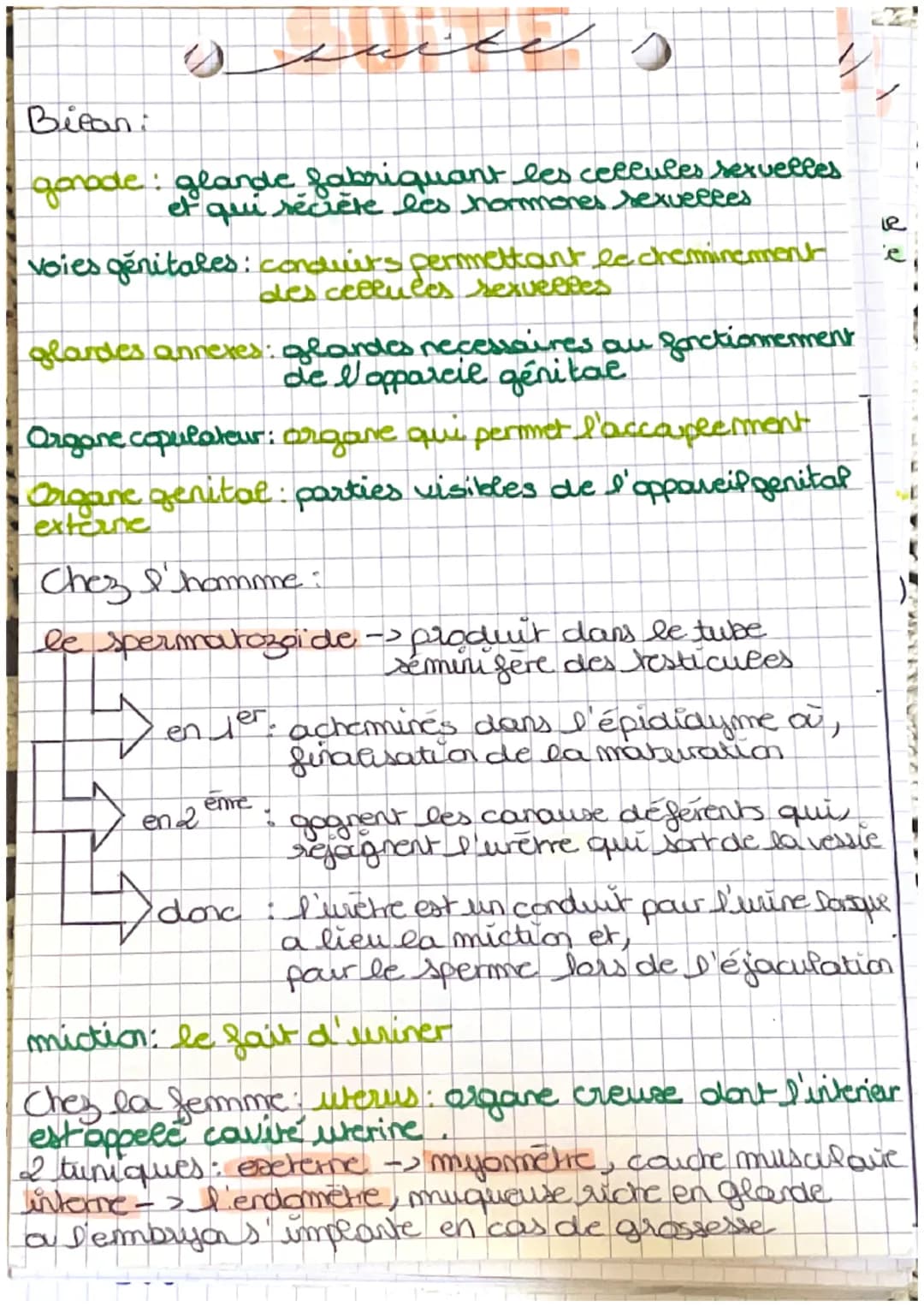 منظر اور پور
la fonction de reproduction production de gametes
-Pa readiation de
rapports sesevers
en plus chez la femme: - la grossesse
L'a
