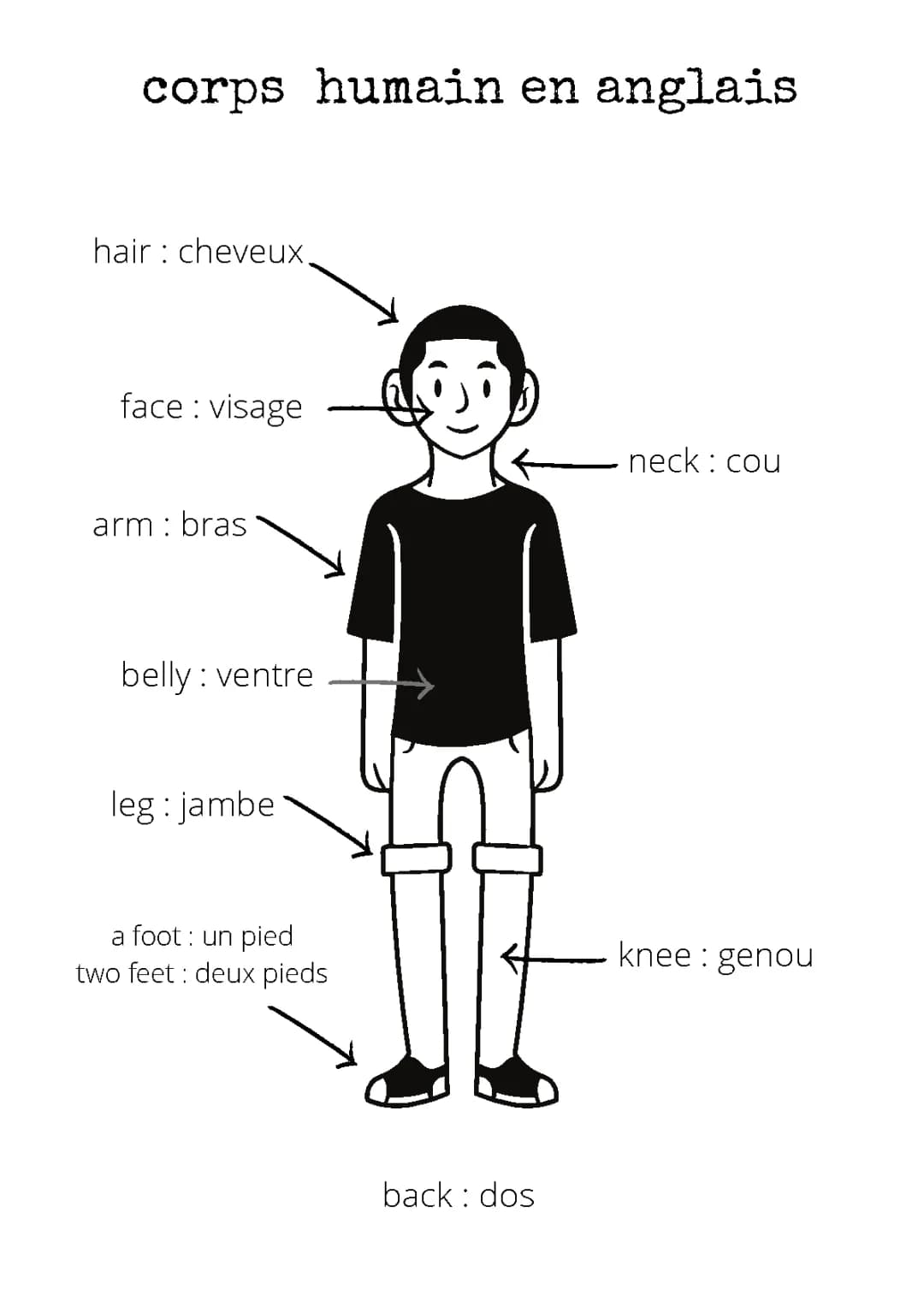 Apprendre les parties du corps humain en anglais - PDF et exercices