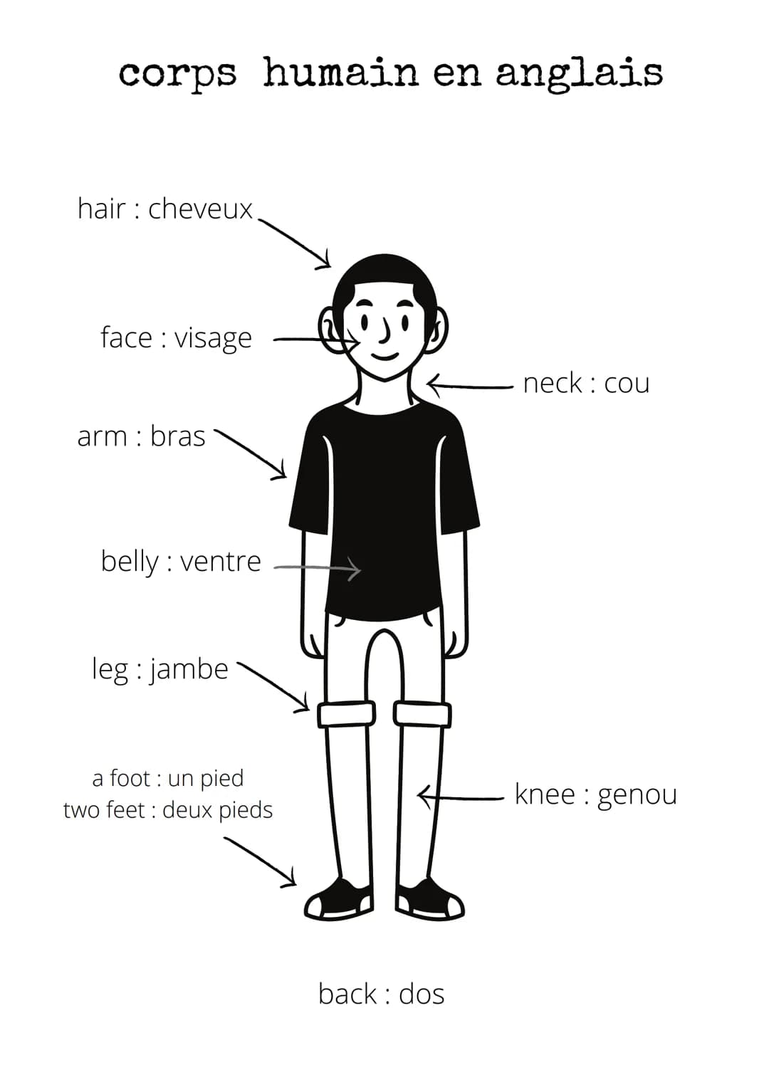 corps humain en anglais
hair cheveux.
face: visage
arm: bras
belly : ventre
leg: jambe
a foot : un pied
two feet: deux pieds
back: dos
neck 