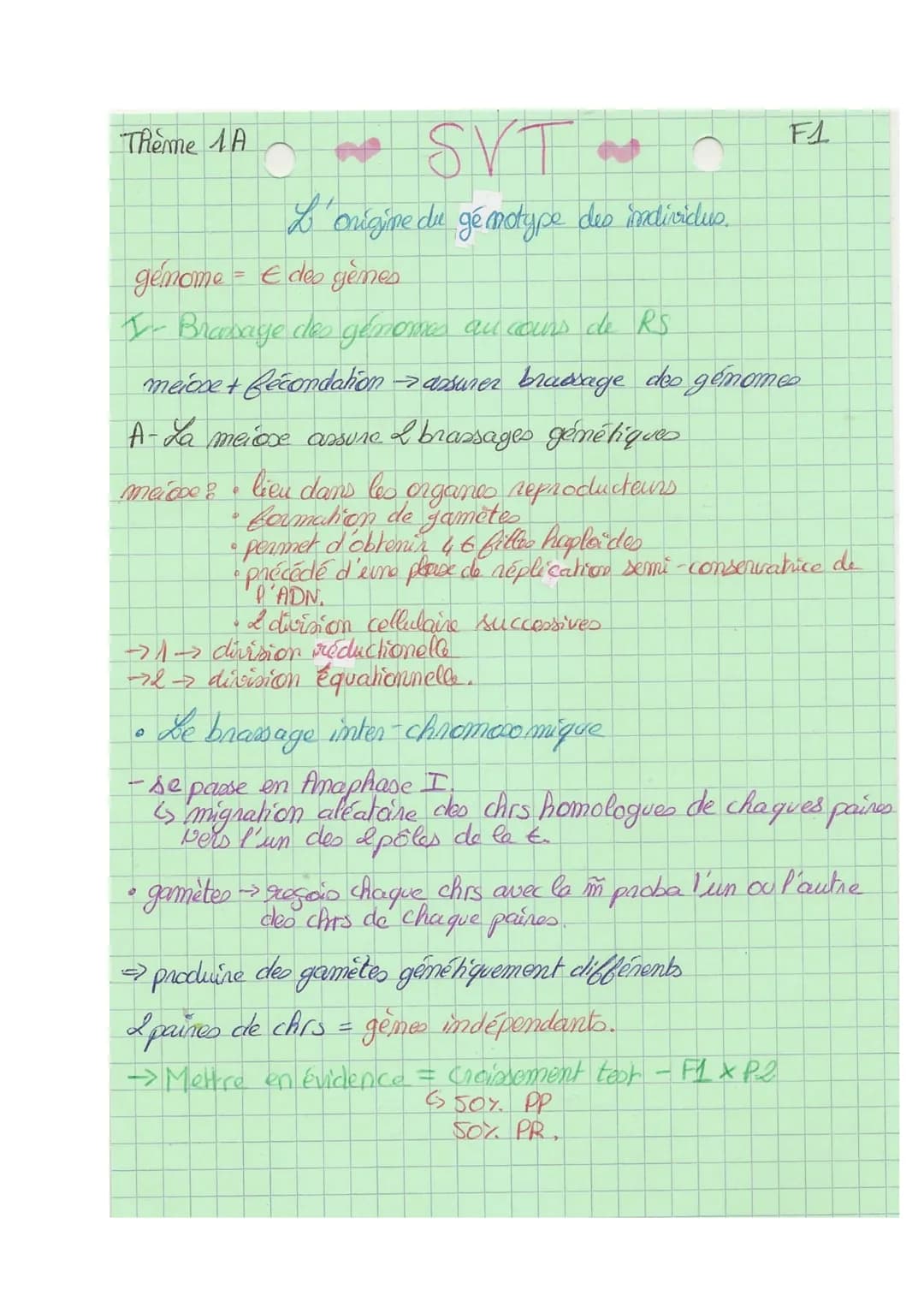 Theme A
10
L
SVT
Origine du génotype des individus.
génome = € des gènes
I- Brasage des génomes au cours de RS
meione + fécondation assurer 