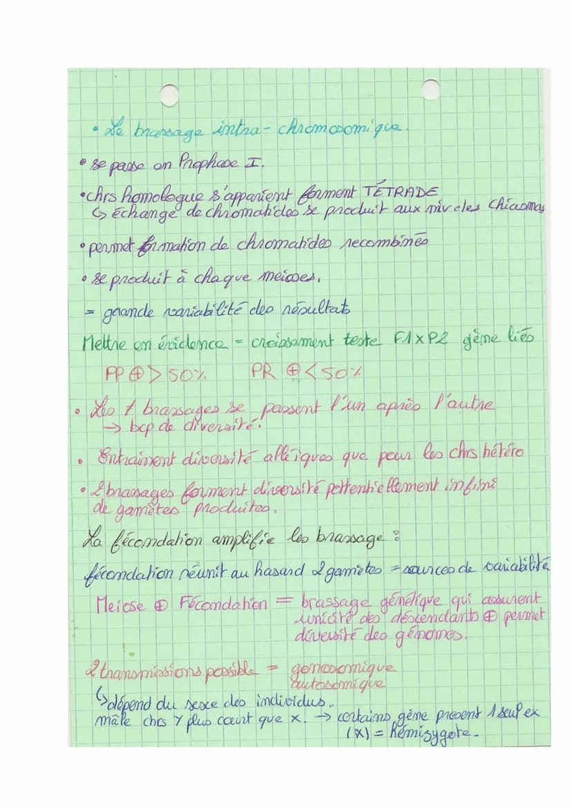 Theme A
10
L
SVT
Origine du génotype des individus.
génome = € des gènes
I- Brasage des génomes au cours de RS
meione + fécondation assurer 