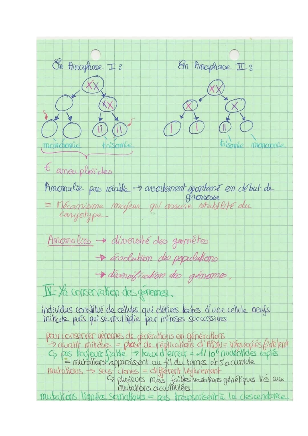 Theme A
10
L
SVT
Origine du génotype des individus.
génome = € des gènes
I- Brasage des génomes au cours de RS
meione + fécondation assurer 