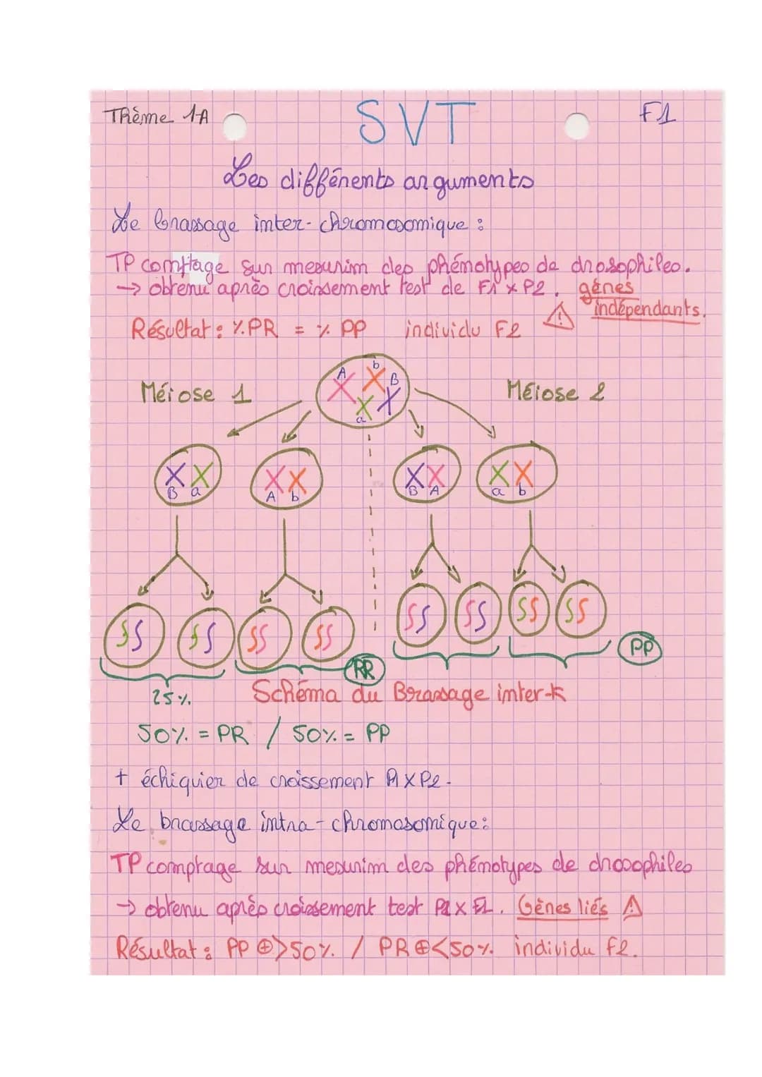 Theme A
10
L
SVT
Origine du génotype des individus.
génome = € des gènes
I- Brasage des génomes au cours de RS
meione + fécondation assurer 