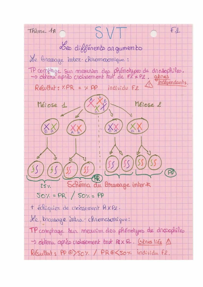 Theme A
10
L
SVT
Origine du génotype des individus.
génome = € des gènes
I- Brasage des génomes au cours de RS
meione + fécondation assurer 