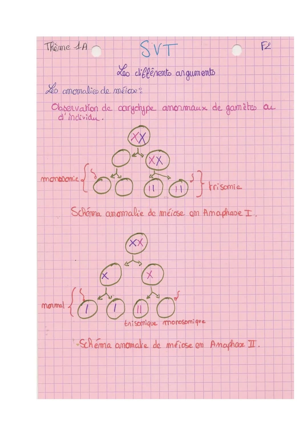 Theme A
10
L
SVT
Origine du génotype des individus.
génome = € des gènes
I- Brasage des génomes au cours de RS
meione + fécondation assurer 