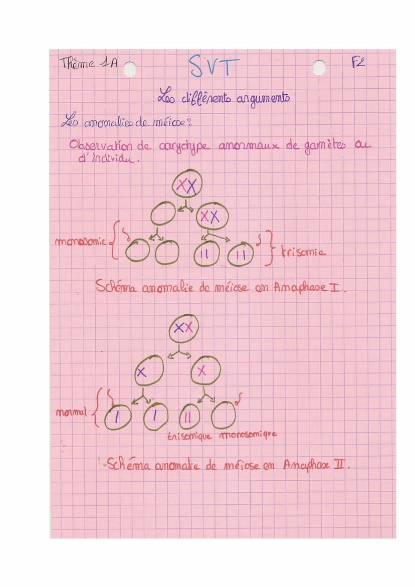 Theme A
10
L
SVT
Origine du génotype des individus.
génome = € des gènes
I- Brasage des génomes au cours de RS
meione + fécondation assurer 