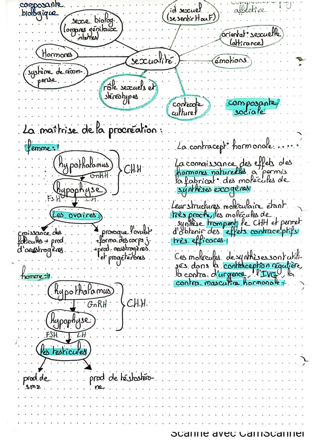 - Devenir homme ou femme:
- 6 à 8 sem de grossesse
.ch. saps.
ch.
.gène Sry.
ovaires
(fille).
Sciences
-),
Gonades bipotentieffle.
. de P'em