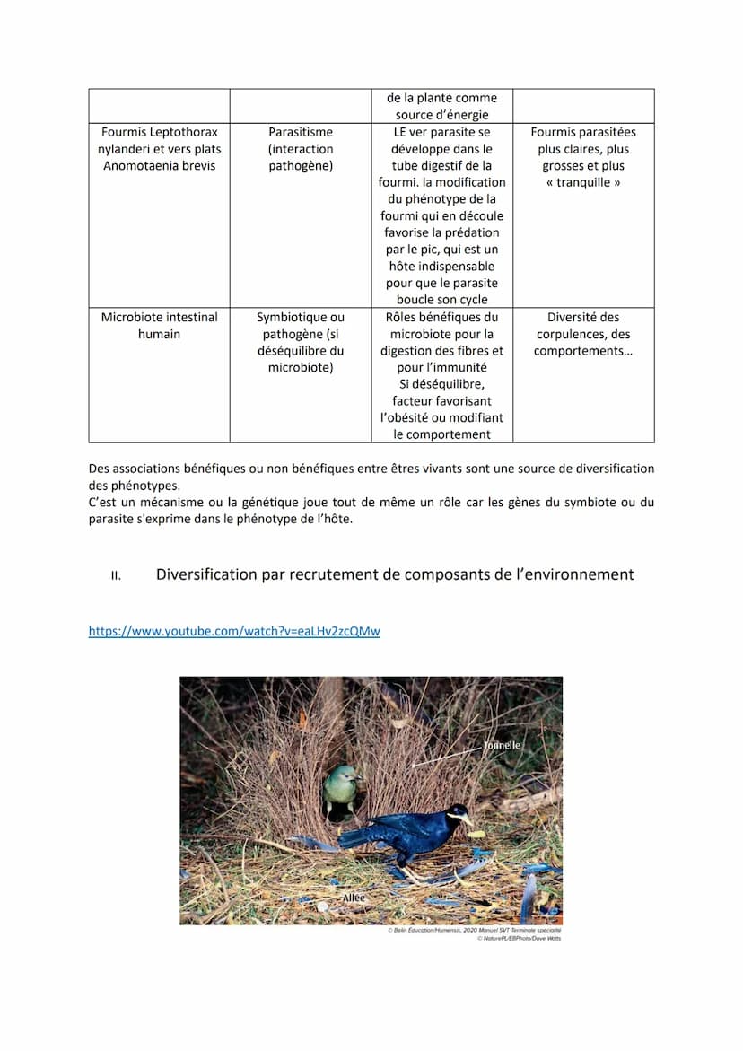 Chapitre 8
DIVERSIFICATION
DES MÉCANISMES « NON
GÉNÉTIQUE » DE
I.
https://www.youtube.com/watch?v=9rhXvnUrqp0&t=1s
Quels sont les autres méc