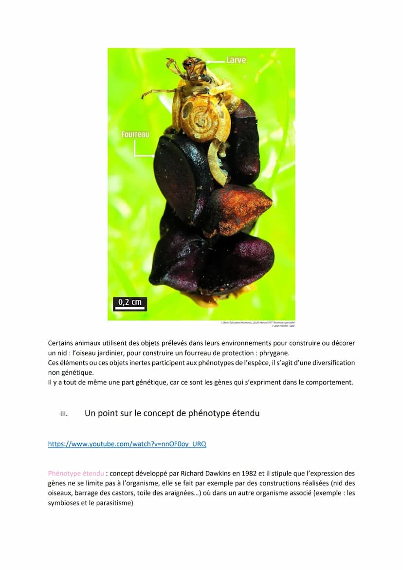 Chapitre 8
DIVERSIFICATION
DES MÉCANISMES « NON
GÉNÉTIQUE » DE
I.
https://www.youtube.com/watch?v=9rhXvnUrqp0&t=1s
Quels sont les autres méc