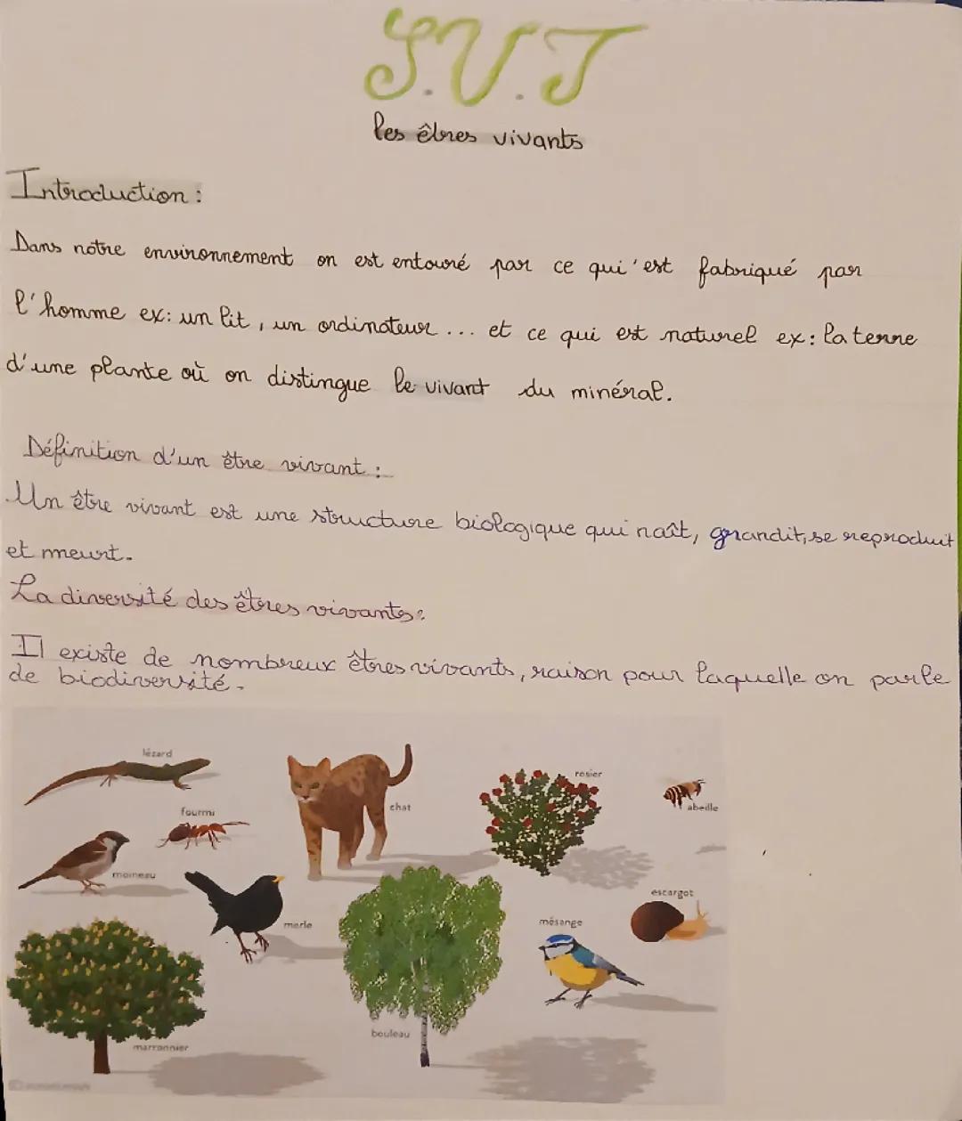 Les êtres vivants 