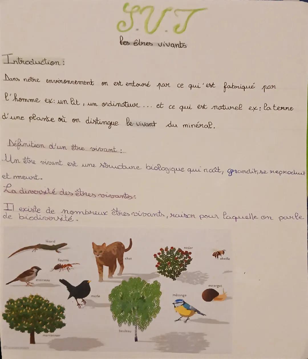 # SV.T
les êtres vivants

# Introduction:
Dans notre environnement on est entouré par ce qui est fabriqué par
l'homme ex: un lit, un ordinat