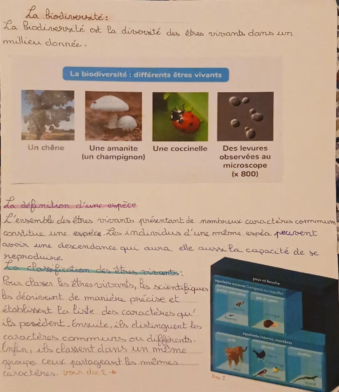 # SV.T
les êtres vivants

# Introduction:
Dans notre environnement on est entouré par ce qui est fabriqué par
l'homme ex: un lit, un ordinat